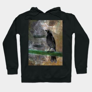 Pete, The Pied Currawong Hoodie